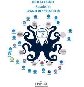 Customer Marketing Strategy, Campaign Planning & Analytics: from FinTech Management Services. Octo-Cogno