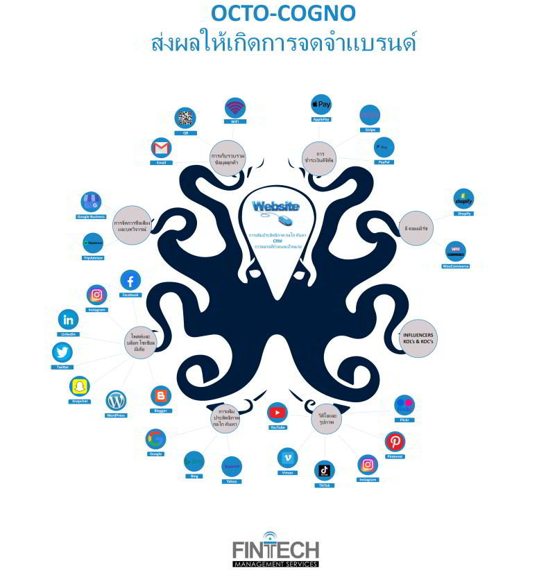 กลยุทธ์การตลาดลูกค้า การวางแผนแคมเปญ และการวิเคราะห์: จาก FinTech Management Services Octo-Cogno